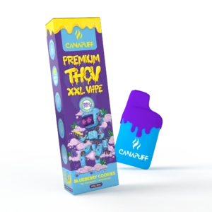 THCv Vape Blueberry Cookies 99% – 2ml